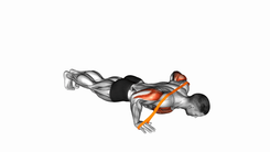 Flexiones con Banda de Resistencia